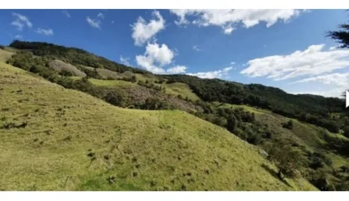 Bloque De 123 Hectareas Para Aguacate Hass En Abejorral