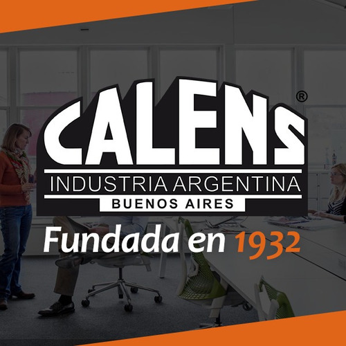 Imagen 4 de 11 de Reparación Service De Sillas De Oficina A Domicilio Calens