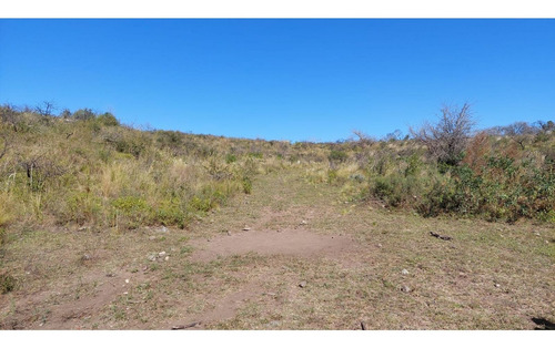 Imagen 2 de 7 de Fracción De 4.13 Ha En Falda Del Carmen. Lote N° 5