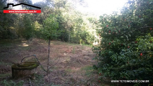 Chácara Em Pinhalzinho Com 4.000 M² De Terreno. - 85