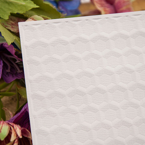Troqueles De Plástico 3d Para Estampado En Relieve, Diseño E