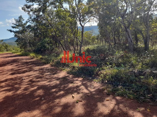 Imagem 2 de 2 de Chacarras A 06 Km Da Jk - 138