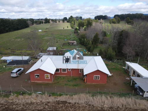 Parcela Productiva De 65.500 M2 Y Gran Casa, Huichahue Km 18