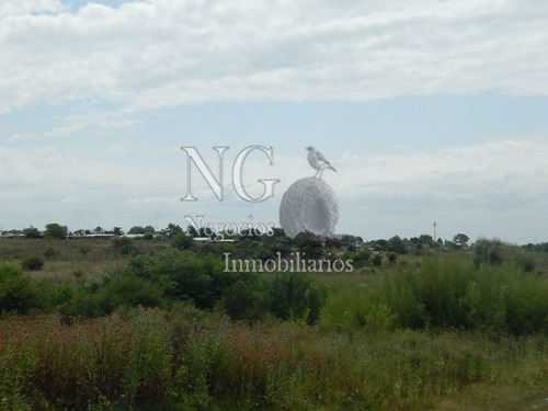 Imagen 5 de 14 de 3 Padrones De Campo Para Inversión!
