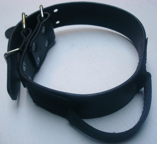 Collar Perro Piel 5cm X 80cm T24 Con Asa Nailon Silverado