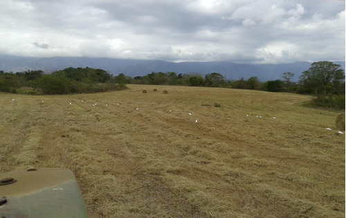 Se Vende Finca De 140 Has Chivacoa Estado Yaracuy