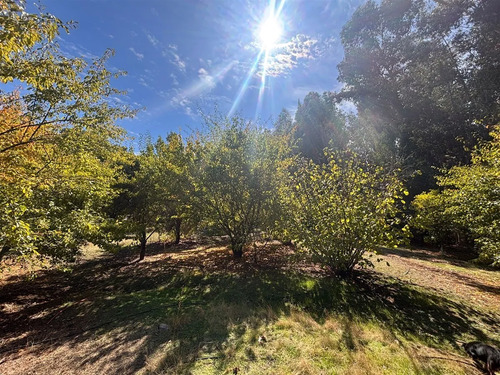 Parcela En Venta En Pencahue