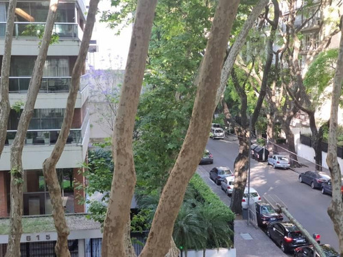 Imagen 14 de 23 de Virrey Del Pino Piso Al Frente , 3 Dormitorios Y Dependencia