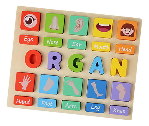 Juego De Rompecabezas De Juguete Montessori Para Organo