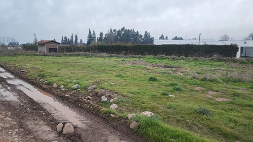 Las Mercedes