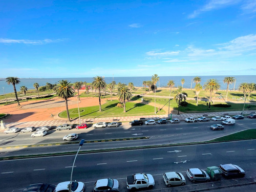 Oportunidad!! Excelente Planta Frente A La Rambla De Trouville.