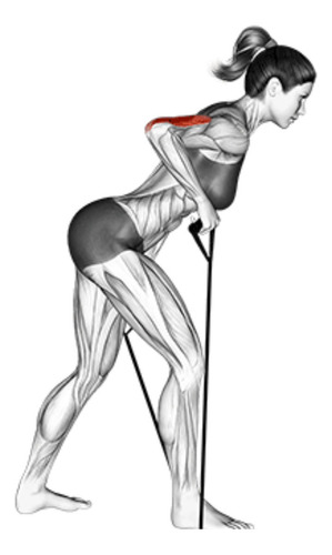 Corda Elástica De Treino Muscular Preta 1,20m Com Puxadores