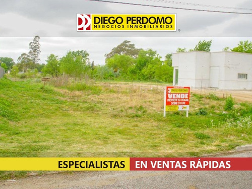 Imagen 2 de 6 de Terreno En Venta, San José