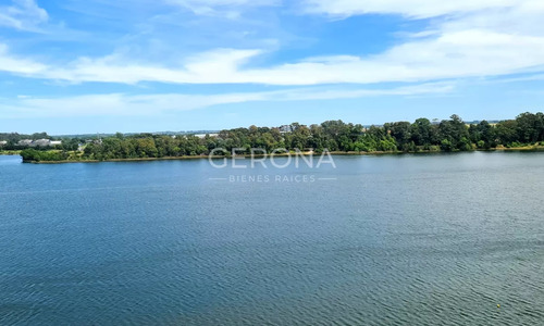Venta Terreno De 11000mts En Carrasco Este .