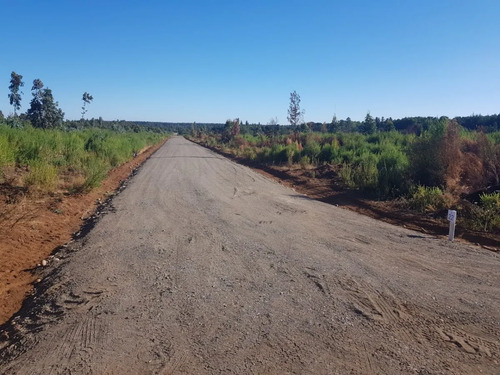 Parcelas En Loteo Hacienda San Ignacio - 25 Min De Chillan