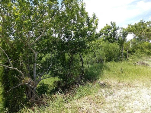 Imagen 2 de 8 de Terreno En Venta Revolucionaria