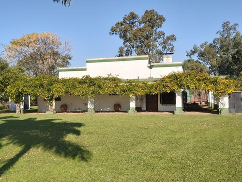 Imagen 3 de 30 de Venta Hermosa Chacra Haras Con Casco Y Mejoras En San Miguel Del Monte