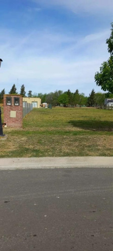 Imagen 3 de 5 de San Beastian Area 1 Lote Interno