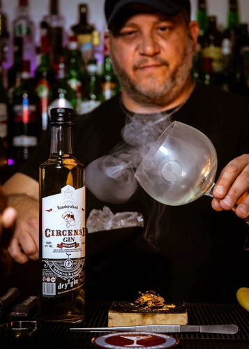Gin Dry Botella Enebro 2 Botellas Circense Premium Gin Tonic