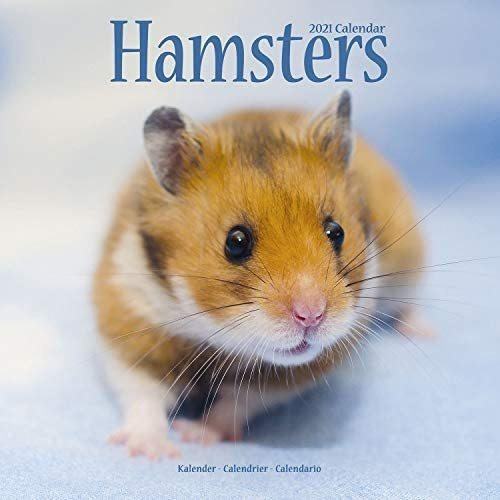 Libro: Calendario De Hámster Calendario De Animales Lindos