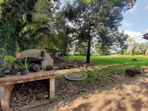 Imagen 5 de 18 de Excelente Casa Quinta Sobre Lote De 6615 Mts2