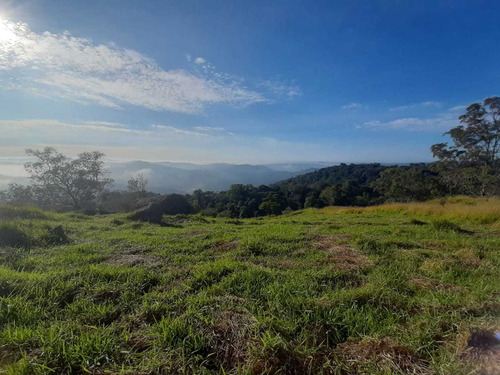 Imagem 9 de 10 de Lotes Plainos E Limpos Em São Roque