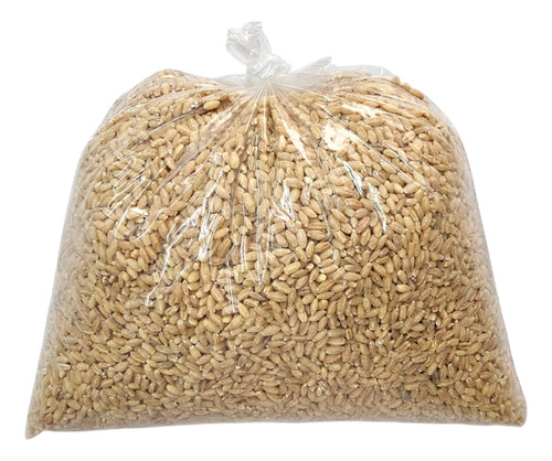 5kg Cebada Perla O Perlada Artesanal Hecha En Yucatán