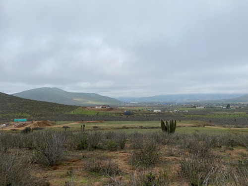 Sector El Incienso, Las Barrancas, Coquimbo Parcela De 2 Has