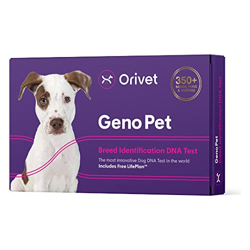 Orivet Genopet Perro Test Dna Test  Perro Crianza Kit 4r3cj