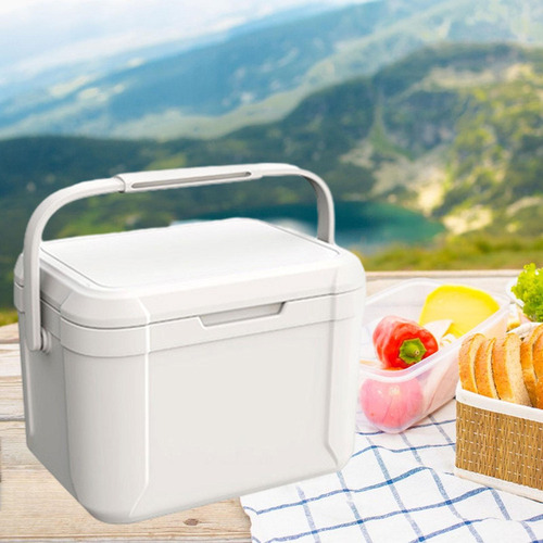 R Refrigerador Isolado Para Carro, Refrigerador Rígido,
