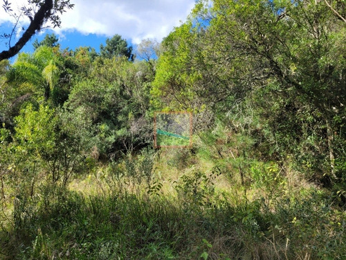 Imagen 11 de 23 de Campo Turístico 38 Hás En Zanja Del Tigre