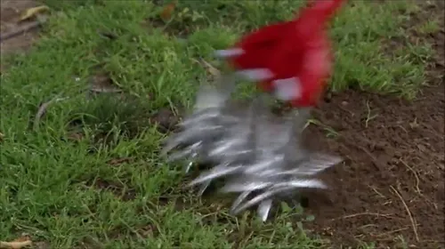 Garden Weasel Cultivador Rojo
