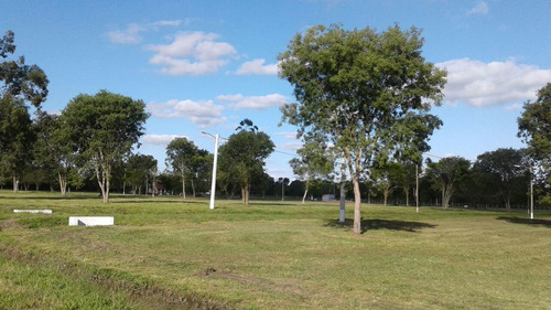 Imagen 3 de 18 de últimos Terrenos En Venta En San Andrés. Colonia Benítez