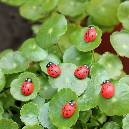 Imagen 6 de 10 de 50 Mariquitas Miniaturas Con Adhesivo