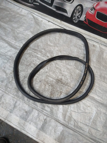 Goma Puerta Trasera Izquierda Fiat Pulse 2023 Original (Usado)