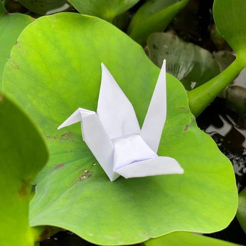 100 Grua Origami Blanca Prefabricada 5.5 In Para Boda