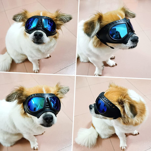 Gafas De Sol Uv A Prueba D/viento P/mascota Pequeña, Mediana