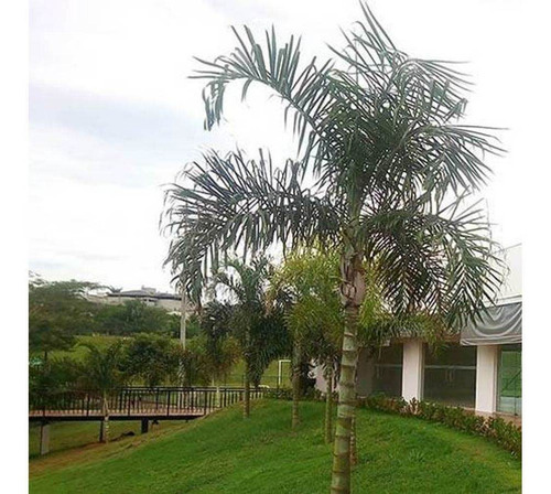 Terreno-em-condominio-para-venda-em-residencial-gaivota-ii-sao-jose-do-rio-preto-sp - 2021199