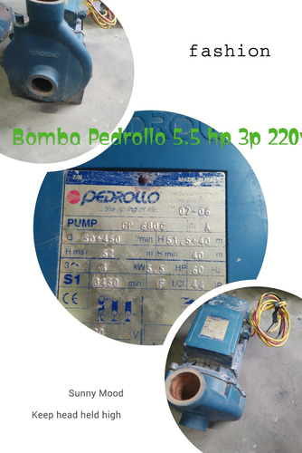 Bomba Periferia 5.5 Hp, Pedrolo 220v 3ph