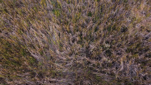 Imagem 4 de 12 de Terreno Para Chácara Ou Loteamento
