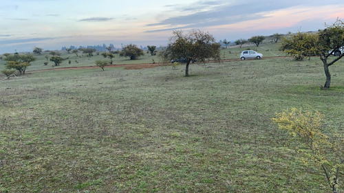 Parcela 5000mt2 Lomas De Polcura, Comuna De Longaví