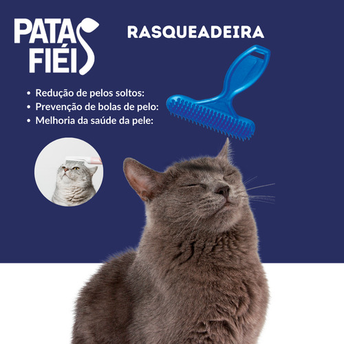 Fonte Gato Bebedouro Cerâmica 1.2l Bivolt Filtro Acessórios Patas Fiéis