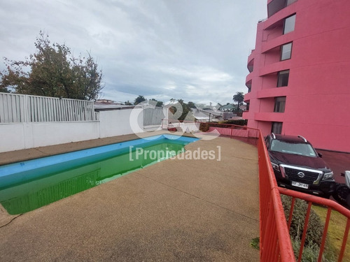 Amplio Dpto Con Inmejorable Ubicación, Quilpué Centro