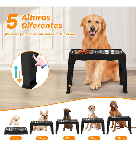Comedouro Elevado Para Cães Com Tigelas De Aço Inoxidável