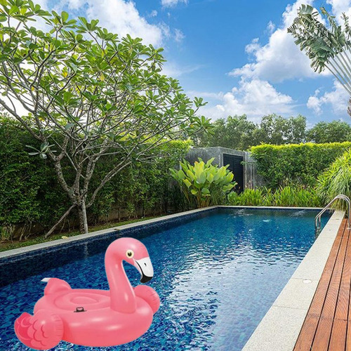 2 Salvavidas Infantil Cisne Y Flamingo Inflable Alberca Inte