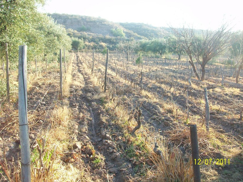 Imagen 13 de 14 de Lunlunta, La Falda 2,8 Has