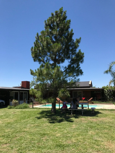 Casa Venta Punta Chacra Gran Patio Con Pileta Y Quincho