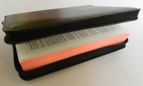Biblia Reina Valera 1960 Concordancia Bolsillo Letra Grande