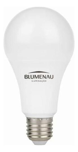 Lampada Led 12w Bulbo E27 6500k Branco Frio Blumenau