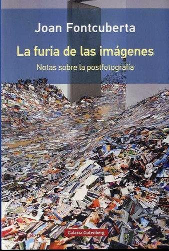 Furia De Las Imagenes- Rustica,la - Fontcuberta, Joan